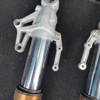 Forcelle benelli tnt