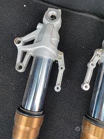 Forcelle benelli tnt
