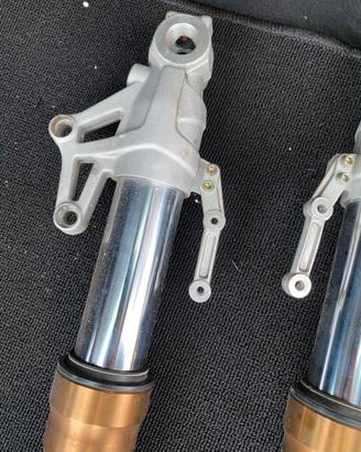 Forcelle benelli tnt