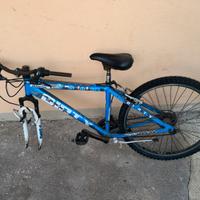 Bicicletta Brera