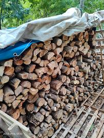 legna di bosco 