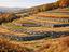 Immagine 10