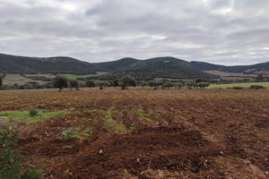 Azienda agricola Nurra