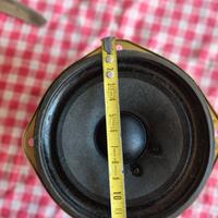 Altoparlanti Panasonic EAS-12P167SL-G.