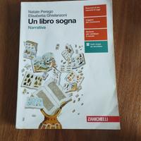 un libro sogna narrativa italiana 