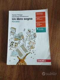 un libro sogna narrativa italiana 