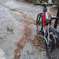 Mountain Bike elettrica