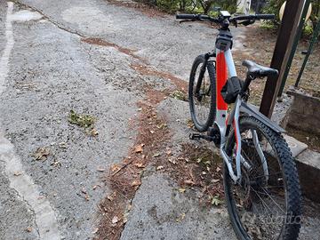 Mountain Bike elettrica