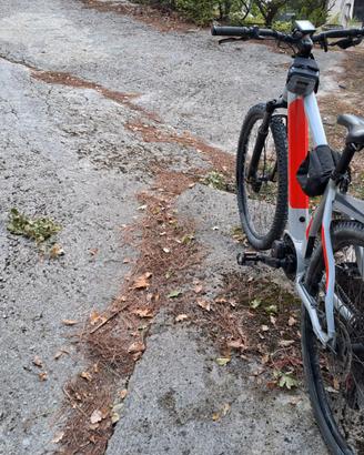 Mountain Bike elettrica