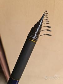 bolognese martina gold purple power  7 metri 