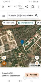 Terreno Bosco Pisani