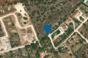 Terreno Bosco Pisani