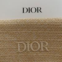 Pochette estiva di Christian Dior