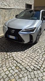 lexus UX 300h AWD F- Sport