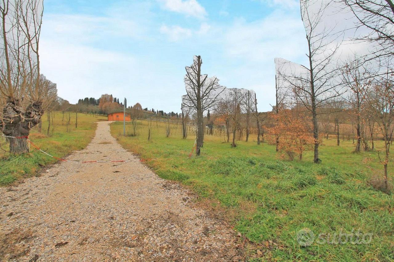 Terreno agricolo con annesso in legno - Vista 2
