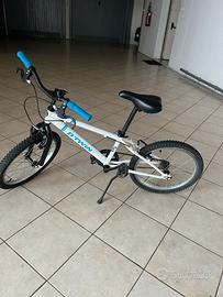 Mtb bambino