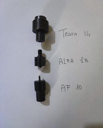 PUNZONI TORCHIETTO BOTTONI