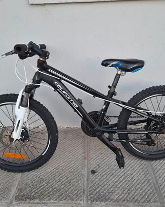bicicletta bambini 20 pollici freni a disco 