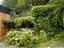 Immagine 6