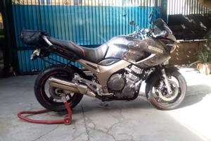 YAMAHA TDM  900  