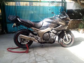 YAMAHA TDM  900  