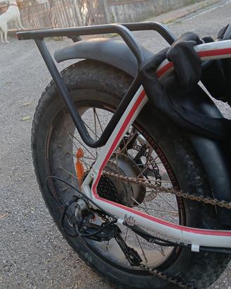   bici elettrica Smartway M4