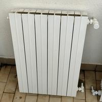 Termosifoni in alluminio 