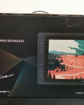 Tavoletta grafica Huion Kamvas Pro 20