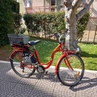 Bicicletta elettrica