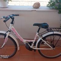 bicicletta 