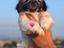 Immagine 3