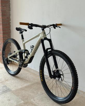 Specialized Enduro Carbon