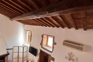 Azienda agricola con appartamenti