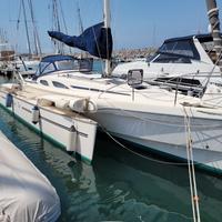 Trimarano Quorning Boats Dragonfly 35
