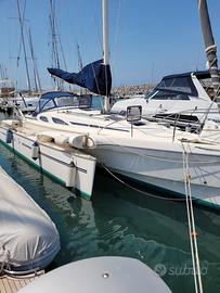 Trimarano Quorning Boats Dragonfly 35