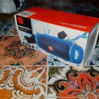 cassa bluetooth splashproof 