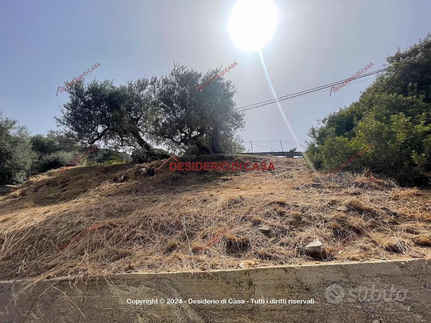 Terreno, Cefalù. - Vista 5