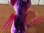 Immagine 4