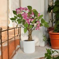 pianta artificiale realistica 