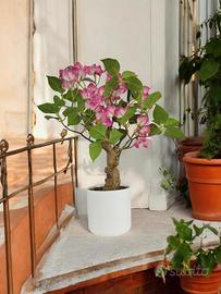 pianta artificiale realistica 