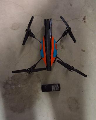 Drone parrot
