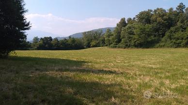 TERRENO 100.000 mq PER ADDESTRAMENTO CINOFILO