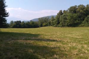 TERRENO 100.000 mq PER ADDESTRAMENTO CINOFILO