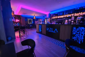 Lounge Bar /Pub