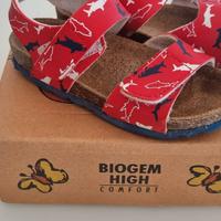 Sandalo Shark Rosso taglia 27