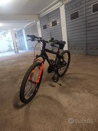 bicicletta n. 20