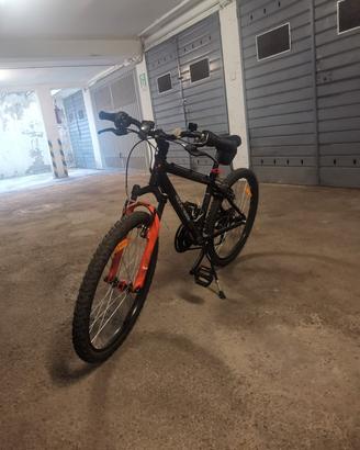 bicicletta n. 20
