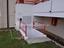 Immagine 9