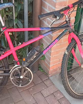 Mountain bike bianchi