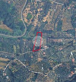 TER. AGRICOLO A GUIDONIA MONTECELIO